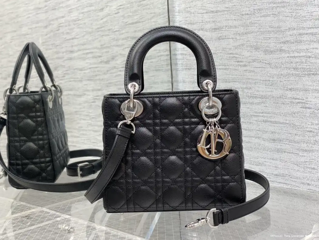 Tony Luxuries Lady Calfskin-20-16.5-8CM Small diro 0520